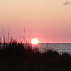 Meet your Posher, Guy